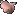 raw bird