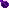 seed