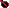 seed