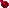 seed