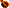 seed