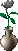 rose in a vase