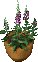 flowerpot