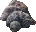 rocks