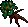mandrake root