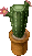 potted cactus