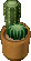 potted cactus